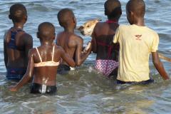 Unsere Tiere und die Kids