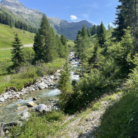IMG_0079